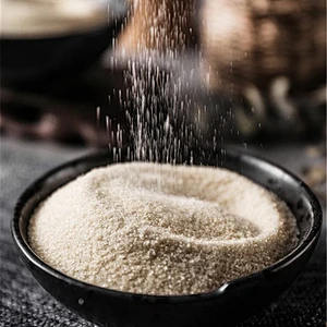 Food Additives CAS 9000-70-8 Bovine Skin Gelatin Bovine Beef Bone Gelatin 240 Bloom